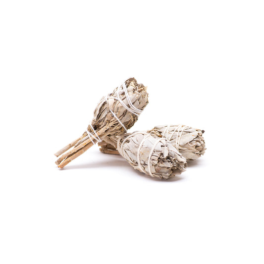 White Sage (Salvia apiana) Smudge Wands